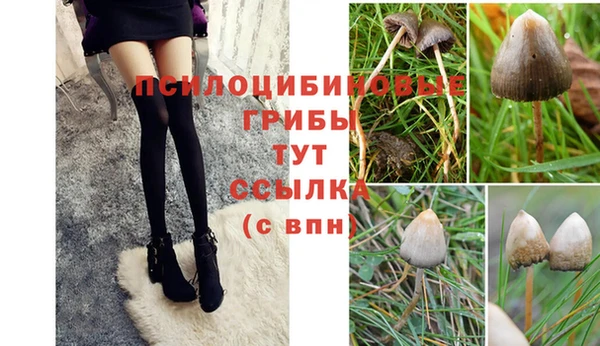 мдма Корсаков