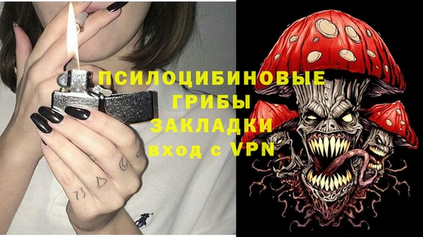 гидра Кострома