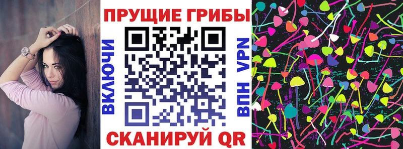 Псилоцибиновые грибы мухоморы  Новая Ладога 