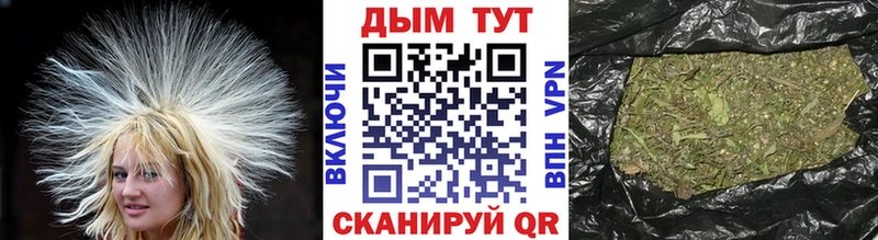 Шишки марихуана Amnesia  Новая Ладога 